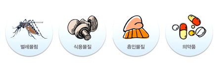 ��������, �Ŀ빰��, ���ι���, �Ǿ�ǰ