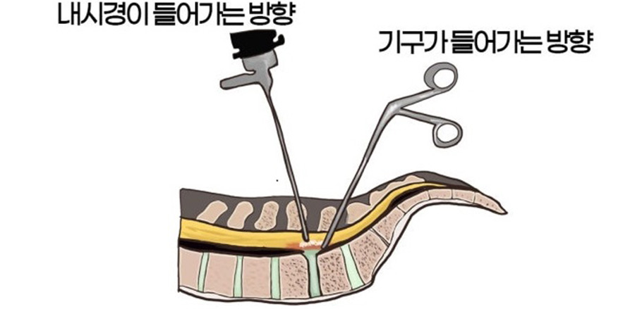 ����� ô�߳��ð��